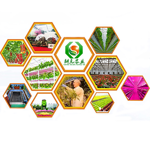 無(wú)土栽培廠家產(chǎn)品優(yōu)·有保障·專業(yè)的服務(wù)